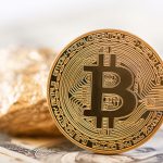 The Pros and Cons of Switching to a Fully Digital Payment Wallet